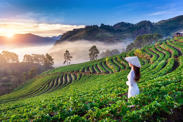 Trong một đoạn video diễn hài gần đây, Bi Béo- con trai của NSND, Cục trưởng