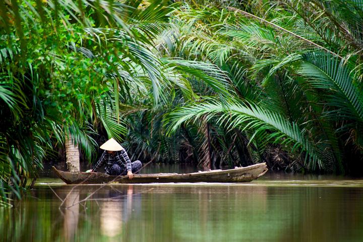 Nội dung: Trong một bóng mát trong mùa hè nóng bỏng, một cột mốc trong lịch sử nhạc