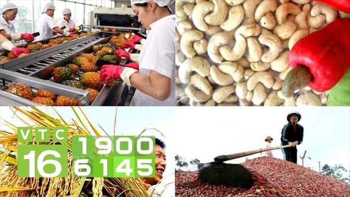 Mỹ Tâm: Họa mi tóc nâu và mối quan hệ với học trò