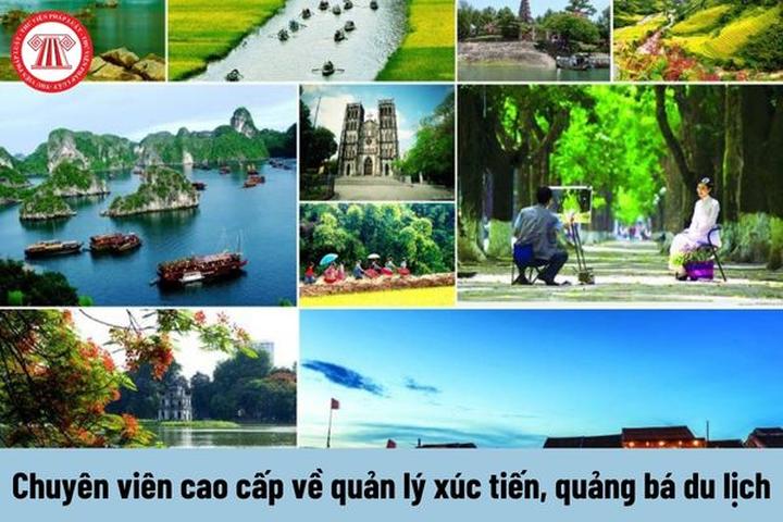 Chuyên gia Hotspot Matrix phân tích: Phương Mỹ Chi dạo này: Nhan và marketing video