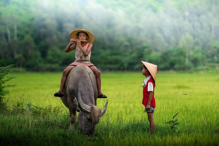 Loại cá được khen 