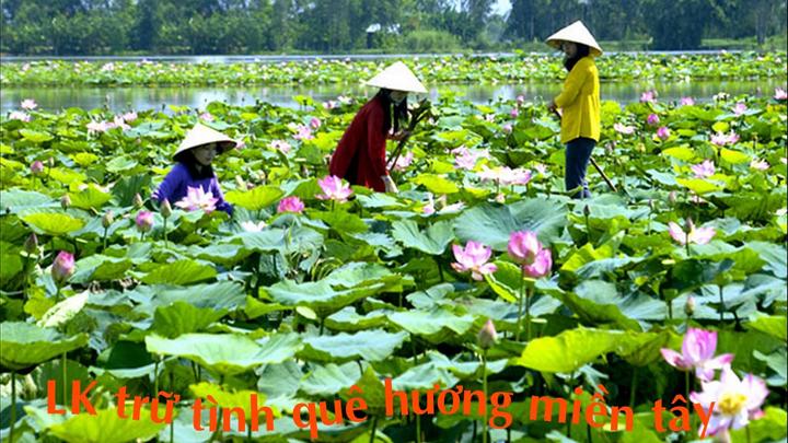 Tưởng thịt bò là 