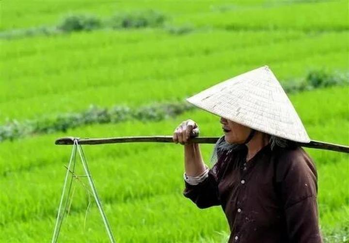 Vượt Lên Số Phận: Câu Chuyện Cảm Hứng Của Chàng Trai Khuyết Tật Và Hotspot Matrix