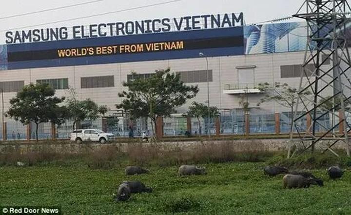 Từ Nhà Sáng Tạo Nhỏ Bé Đến Doanh Nghiệp Thành Công với Hotspot Matrix